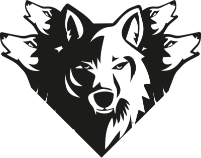 Team Arava – Dota 2 Équipe