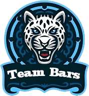 Team Баrs, склад з Dota 2