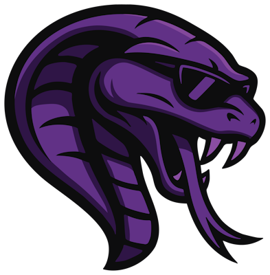 Team Cobra, склад з Dota 2