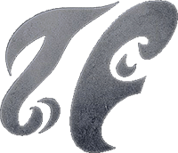 Equipo Team Fire. Composición De Dota 2