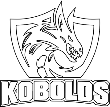 Team Kobolds Valorant Team