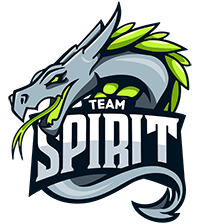 Team Spirit CS2 (CS:GO) Team