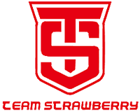 Team Strawberry, склад з Dota 2