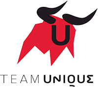 Team Unique Dota 2 Team