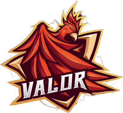 Drużyna Team Valor. Skład Valorant