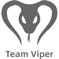 Team Viper – Dota 2 Team