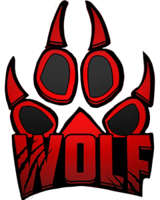WOLF – Dota 2 Équipe