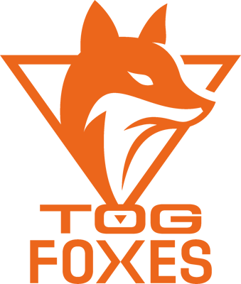 Hold TeamOrangeGaming Academy. Opstilling LoL