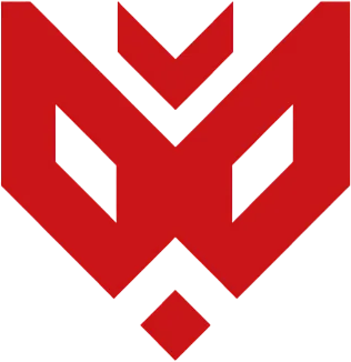 Drużyna TEB Esport Pro. Skład CS2 (CS:GO)
