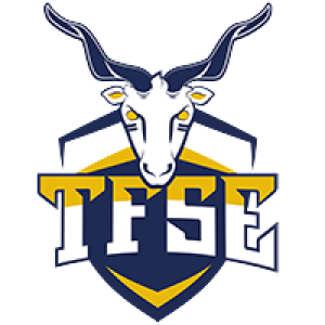 Equipo Universidad TFSE (W). Composición De Basketball