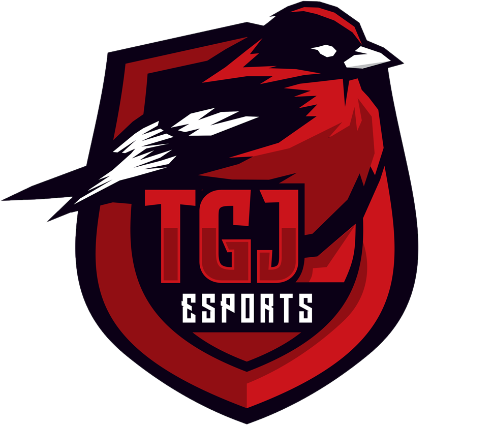 Drużyna TGJ Esports. Skład CS2 (CS:GO)