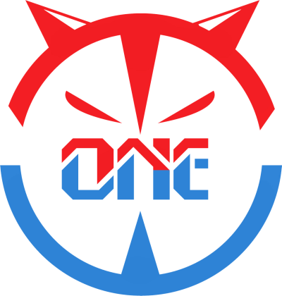 The One Winner – Overwatch Team