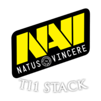 TI1 Natus Vincere – Dota 2 Équipe