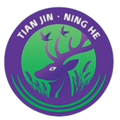 Tianjin Ninghe – Football Team