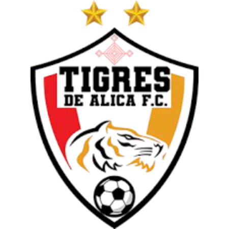 Equipo Tigritos de Álica. Composición De Football