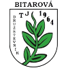 Bitarova – Football Team
