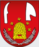 TJ Dvorniky - Vcelare – Football Team