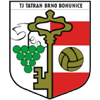 Bohunice – Football Team