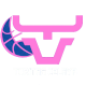Equipo Toritas Women. Composición De Basketball