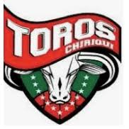 Toros De Chiriqui Basketball Team