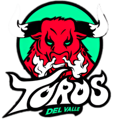 Toros del Valle Basketball Team