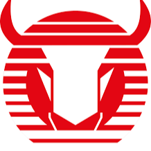 Toros Neza Football Team