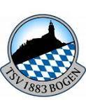 TSV Bogen Football Team