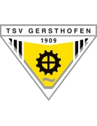 tsv gersthofen Football Team