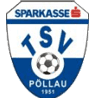 Drużyna TSV Pöllau. Skład Football