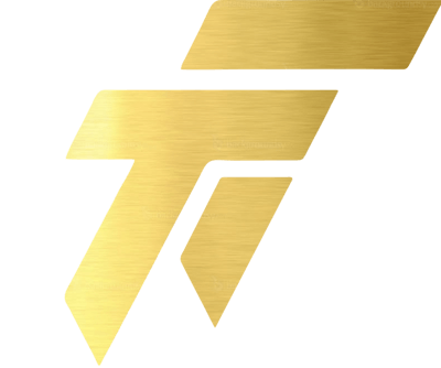 TT InfinBanque – Dota 2 Équipe
