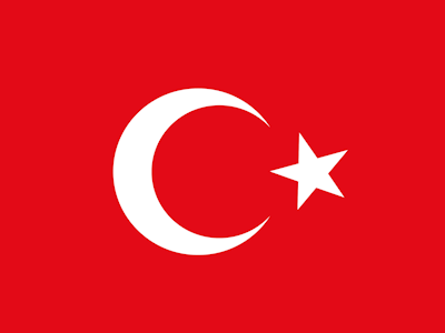 Turkey Rocket League Team