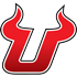 Uball Basketball队