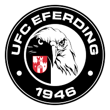 Equipo UFC Eferding. Composición De Football