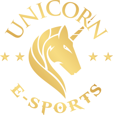 Drużyna Unicorn Cyber. Skład Valorant
