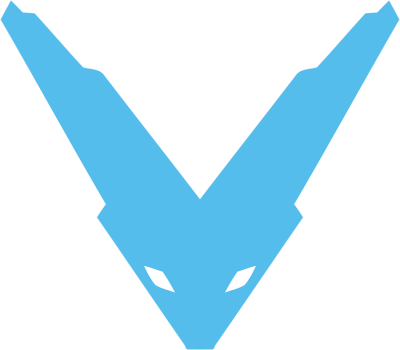 V-Gaming Reborn, склад з Dota 2