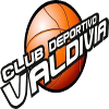 Команда Вальдивия. Состав Basketball