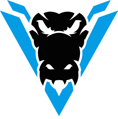 Varona Esports – LoL Équipe