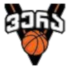 Vera Tbilisi – Basketball