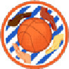 Equipo Veracruz Campinas (f). Composición De Basketball