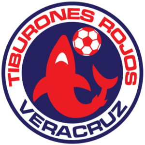 Equipo Veracruz II. Composición De Football