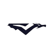 Vex Dragons Rising – CS2 (CS:GO) Team