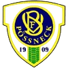 Equipo VfB Possneck. Composición De Football