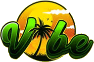 Hold ViBE Esports. Opstilling CS2 (CS:GO)