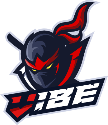 Hold VIBE. Opstilling CS2 (CS:GO)