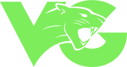 Команда Vici Gaming. Состав LoL