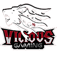 Equipo Vicious Gaming. Composición De Dota 2