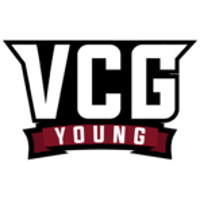 Equipo Vicious Gaming Young. Composición De Dota 2