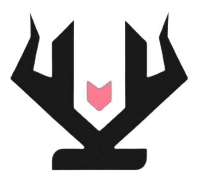 Vikings KR – CS2 (CS:GO) Équipe