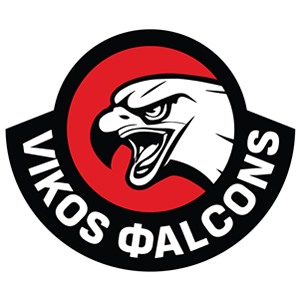 Vikos Falcons B.C. – Basketball Team