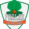 Drużyna Vilkaviskis. Skład Basketball